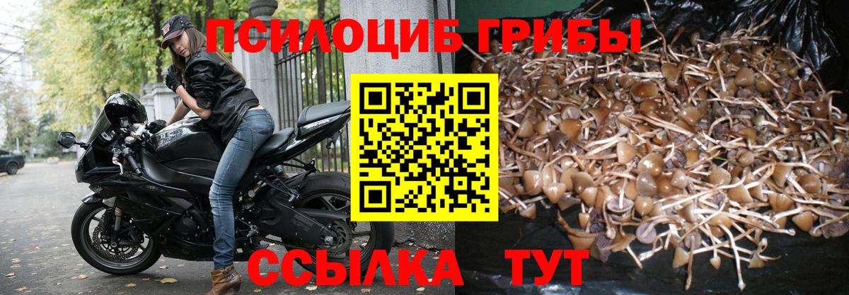 Железноводск  Псилоцибиновые грибы GOLDEN TEACHER  Вход с VPN 